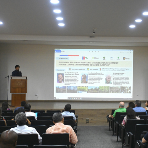 UOH da a conocer avances en la restauración del bosque nativo en Chile central