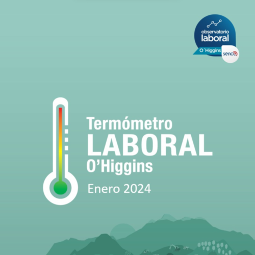 Aumento de la ocupación en O’Higgins fue impulsado por Colchagua y Cachapoal