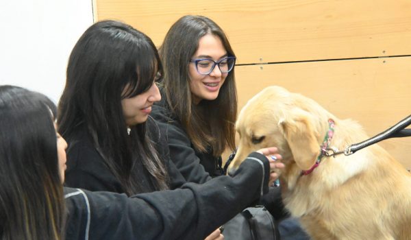 Bienvenida Escuela de Ciencias Agroalimentarias, Animales y Ambientales