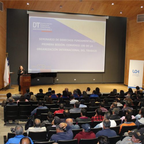 Seminario abordó los avances y desafíos del convenio 190 de la Organización Mundial del Trabajo en la actualidad