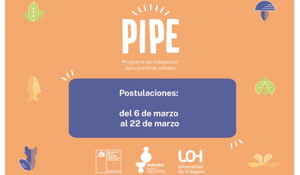 pipe_web