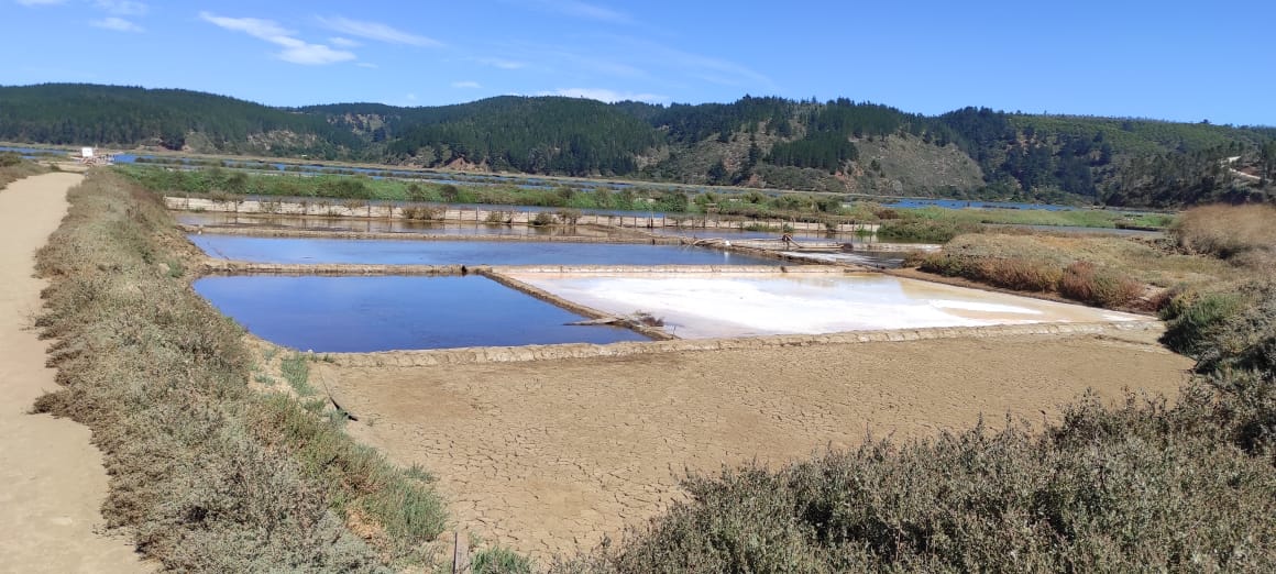 Proyecto UOH potencia energías limpias para el rubro salinero