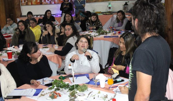 Programa de Indagación en Primeras Edades