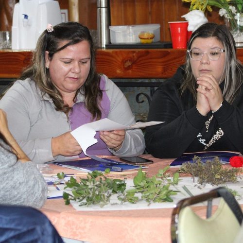 Programa de Indagación en Primeras Edades reunió a 120 educadoras/es de la Región de O’Higgins