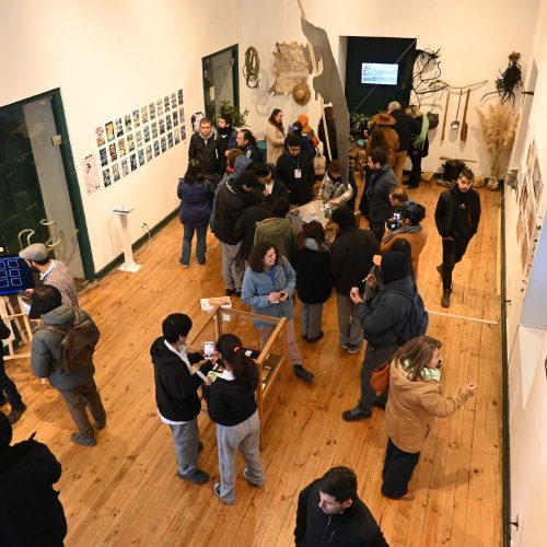 Museo Regional de Rancagua recibe exposición Red Ciencia y Arte UOH