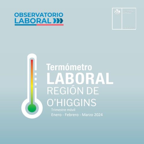 Ocupación aumenta por tercer año consecutivo