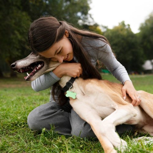 Bienestar canino: claves para evitar problemas de comportamiento