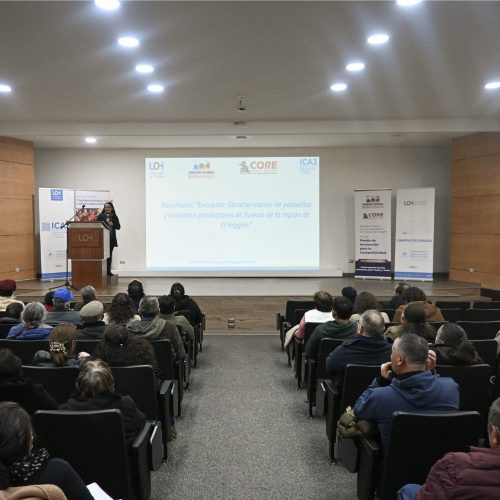 Encuesta arroja que el 81% de las explotaciones avícolas a escala rural son manejadas por mujeres