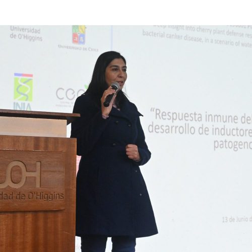 Seminario de Cierre de Proyecto Anillo O’Higgins presenta importantes avances en el conocimiento del cáncer bacterial en Cerezos
