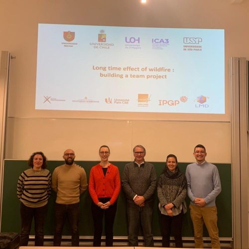 UOH e investigadores franceses unen esfuerzos por la protección de ecosistemas de bosque y salud socioambiental