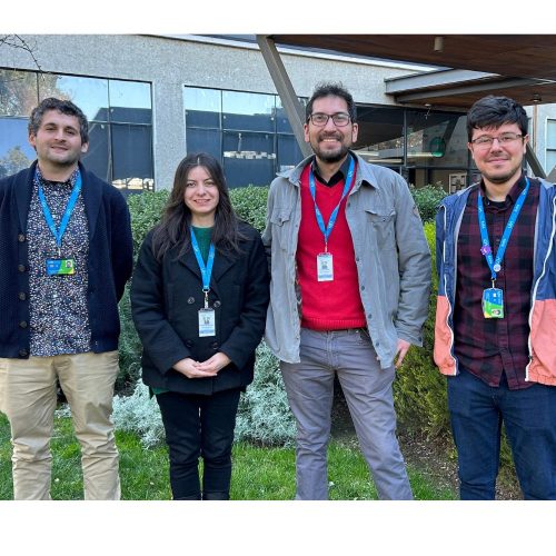 Proyecto de la Escuela de Salud fortalece redes de apoyo para personas con discapacidad en la Región de O’Higgins