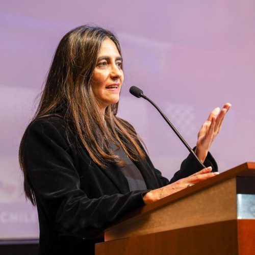 Subsecretaria de Relaciones Económicas Internacionales abordó desafíos del comercio internacional en la UOH