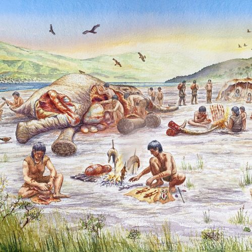 Documentando 13 mil años de historia: las primeras huellas humanas de Chile central