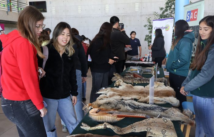 Dia del Veterinario - Colchagua-1