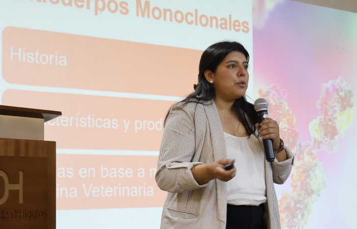 Dia del Veterinario - Colchagua-23