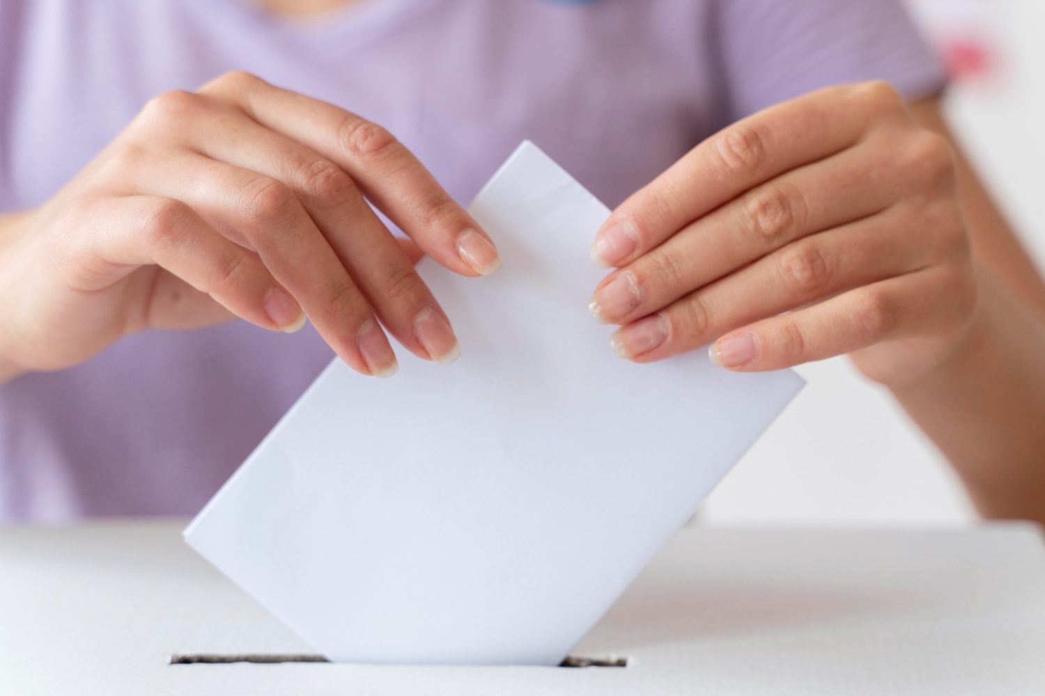 Elecciones 2024