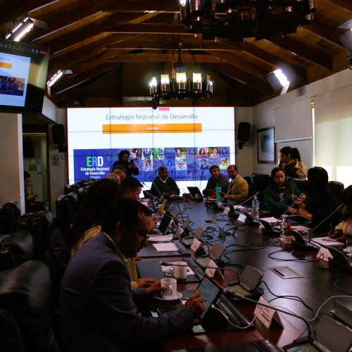 Equipo ERD expuso ante el Consejo Regional de O’Higgins