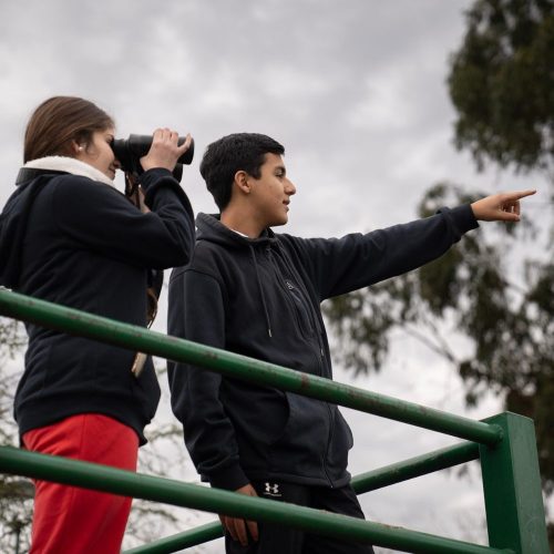 Jóvenes de Las Cabras descubren la biodiversidad de su humedal con el apoyo de la UOH