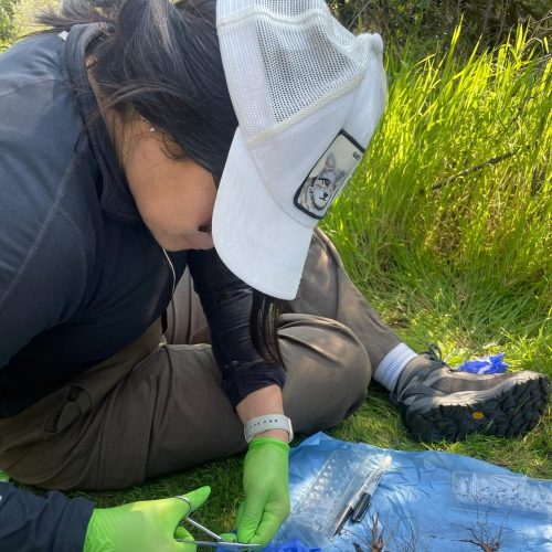 UOH avanza en investigación con microARNs para aplicaciones en salud y cambio climático