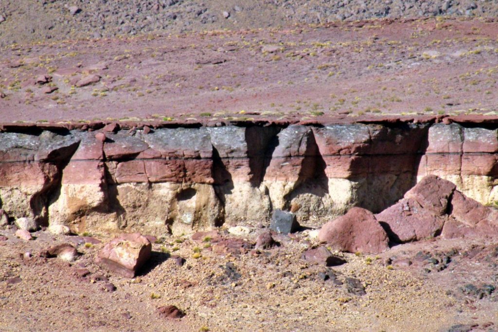 Yellowstone (1)