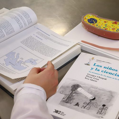 De estudiante de Pedagogía a profesor/a: el viaje de transformación en una aventura del conocimiento