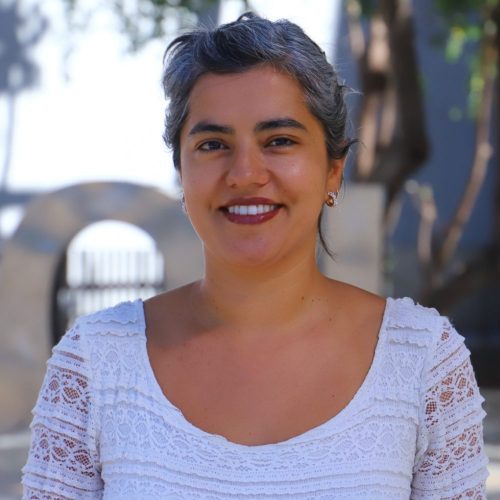 Investigadora ICSo integró comité organizador de Congreso Internacional