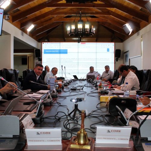 Equipo ERD presentó avances de la nueva Estrategia Regional de Desarrollo al Consejo Regional de O’Higgins