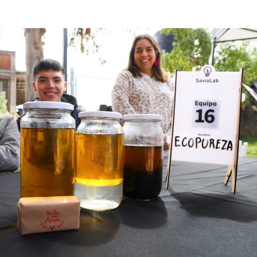 Programa SaviaLab culminó su primera versión en O’Higgins con tres grupos ganadores