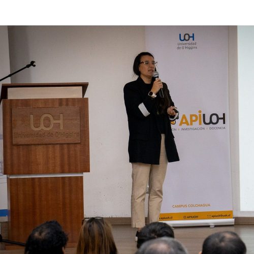 Seminario internacional en O’Higgins entregó herramientas clave para proteger a las abejas