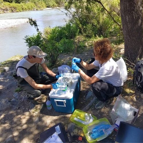 Académica UOH evalúa salud de los ecosistemas acuáticos en la Región de O’Higgins