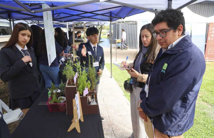 SAVIALAB Colchagua-9