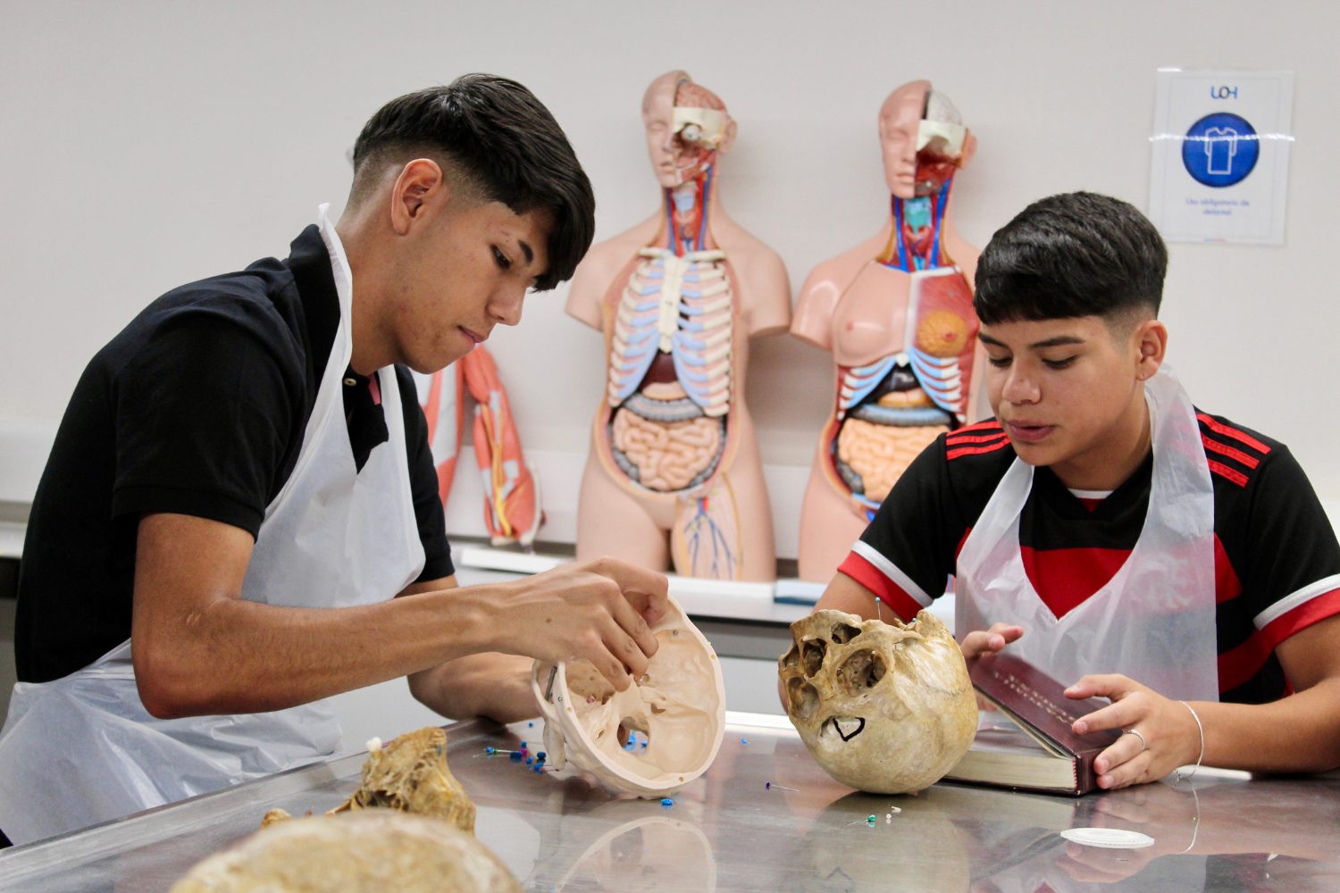 Academias UOH