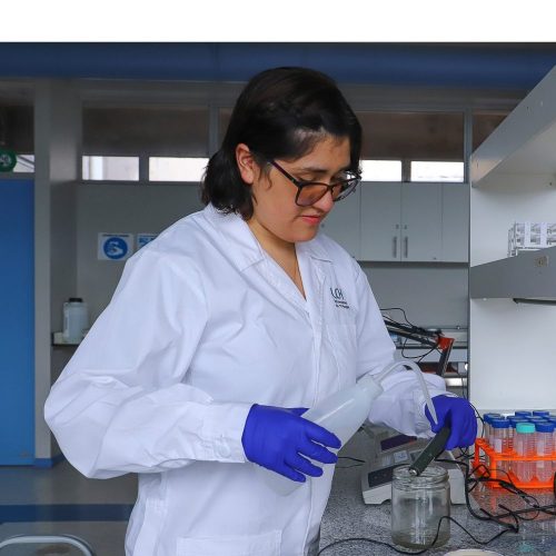 Educación universitaria para una sociedad más sustentable: la mirada de la ECA3 en la formación de profesionales del futuro