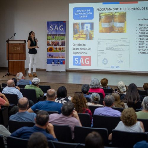 Más de 90 apicultores fortalecen su competitividad en taller sobre normativa y trazabilidad apícola en O’Higgins