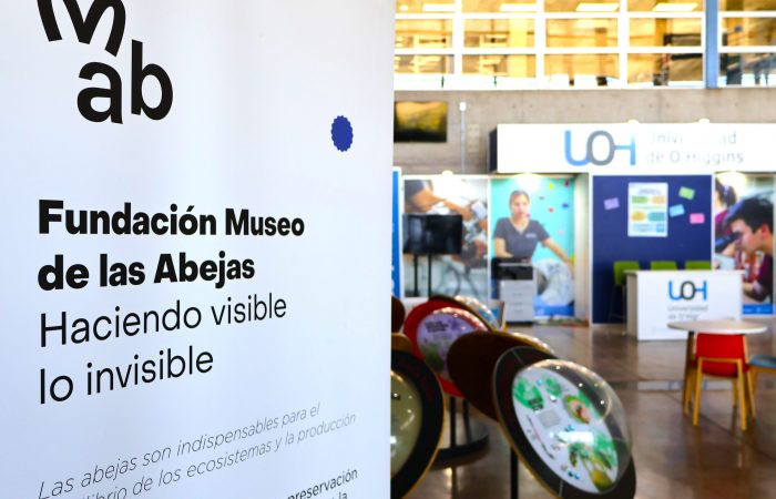 Exposición abejas nativas