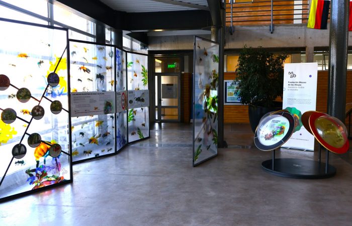 Exposición abejas nativas