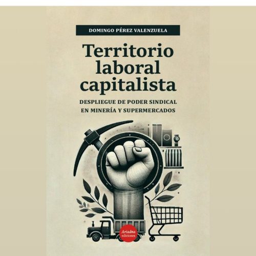 Territorio en disputa: investigador UOH publica segunda edición de libro clave en estudios laborales