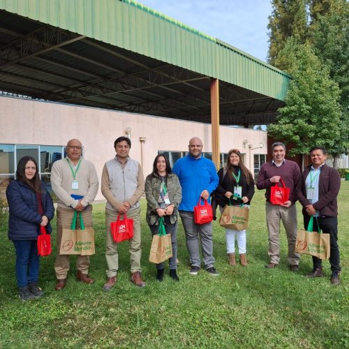 Escuela de Ingeniería busca potenciar alianza con empresa Minuto Verde para futura formación profesional