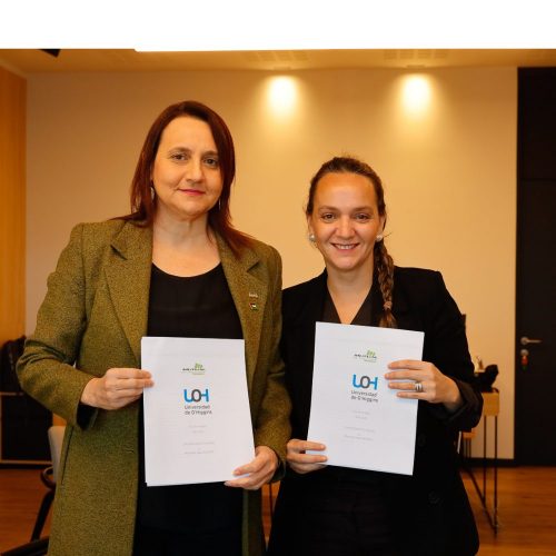 Universidad de O’Higgins fortalece su política de bienestar con apoyo de Mutual de Seguridad