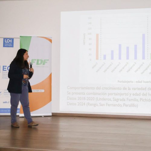 Concluye en la UOH exitoso programa para potenciar la ciruela chilena Sweet Pekeetah en la región