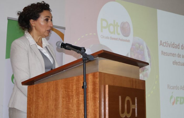 Programa ciruela Sweet Pekeetah