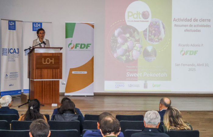 Seminario Karen Mesa (2 de 5)