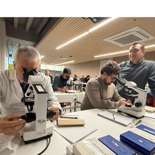 Capacitación en la UOH mejora detección de patologías hematológicas en la red pública de salud