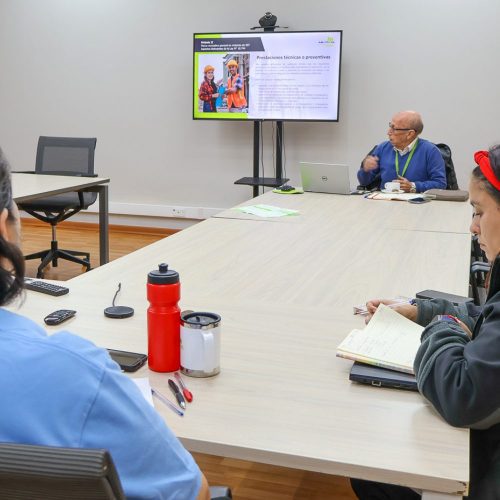 Comité Paritario de Campus Colchagua se capacita para fortalecer gestión preventiva