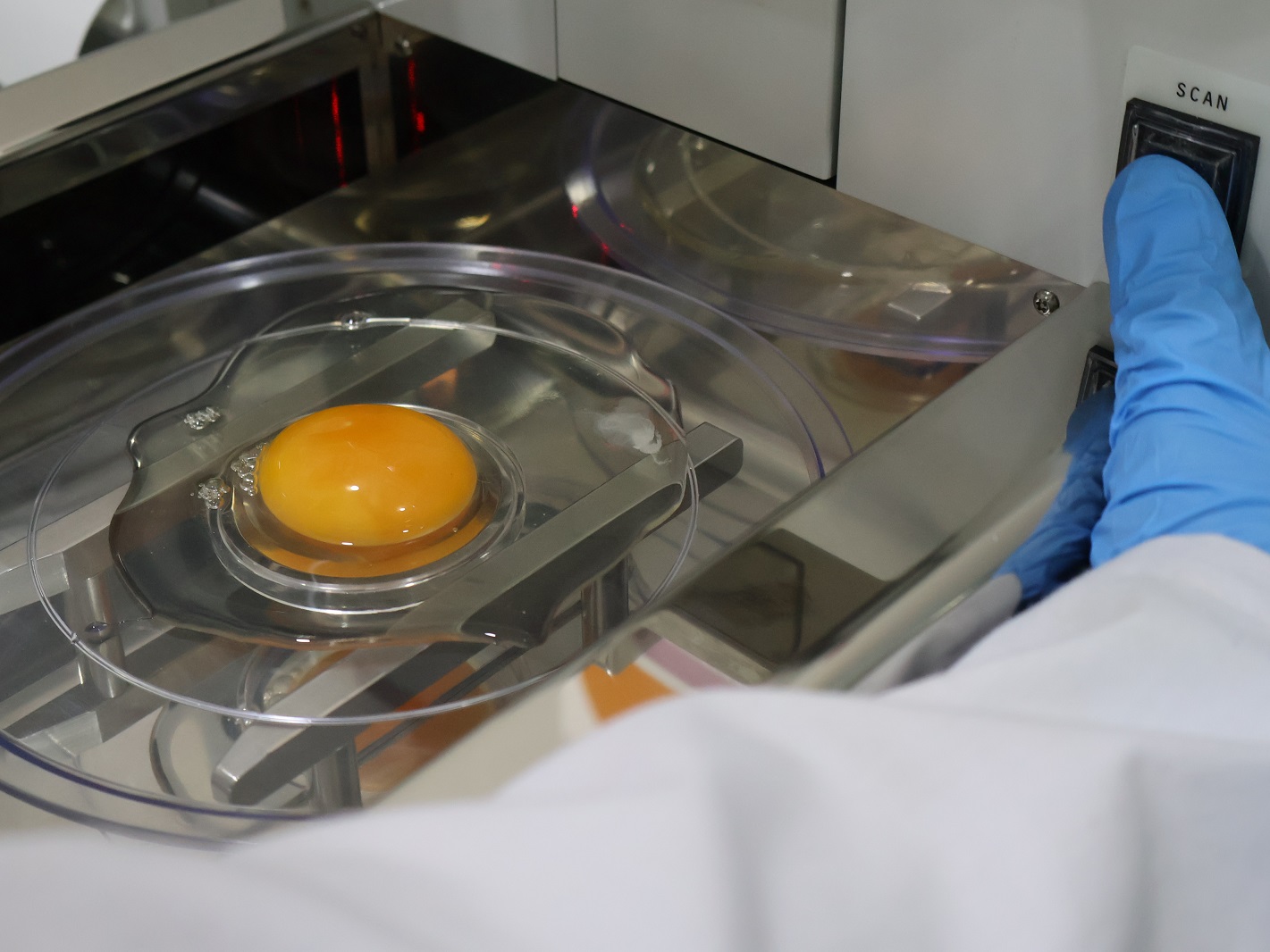 Huevos de gallina