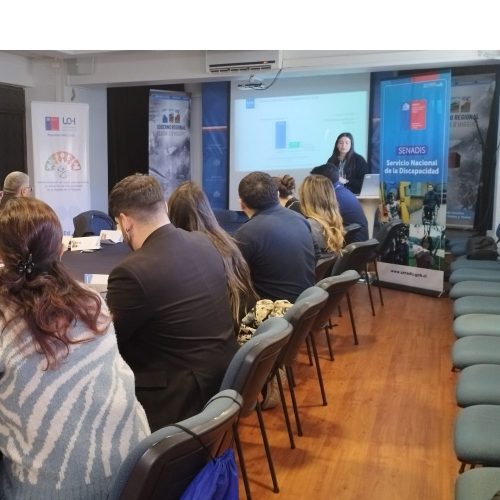 Mesa Intersectorial de Discapacidad e Inclusión destaca estudio de la UOH como base para diseñar políticas inclusivas en O’Higgins