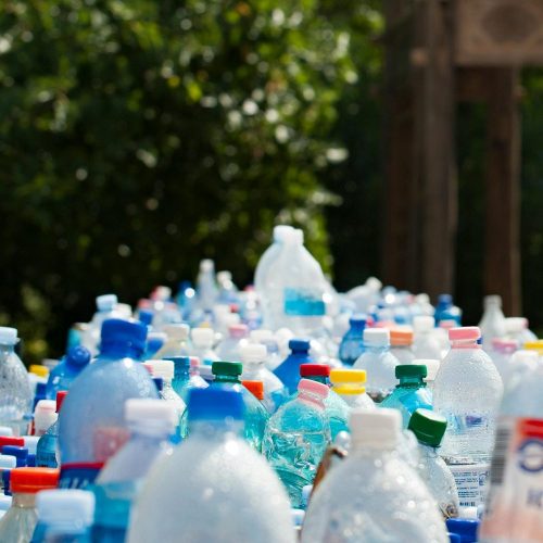 Reciclaje y cambio climático: el aporte de la ciencia y la educación para un futuro sostenible