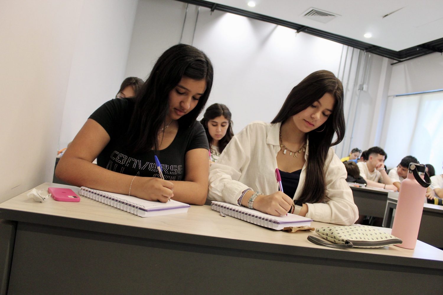 Academia de Invierno UOH