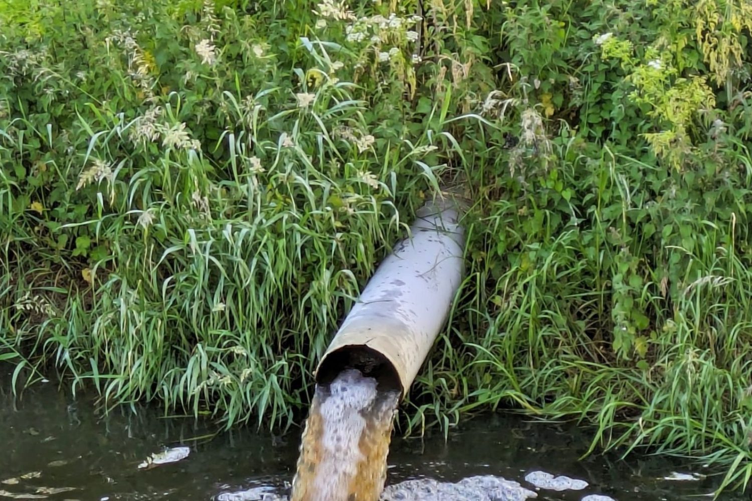 Aguas - Fotocatalizadores (1)