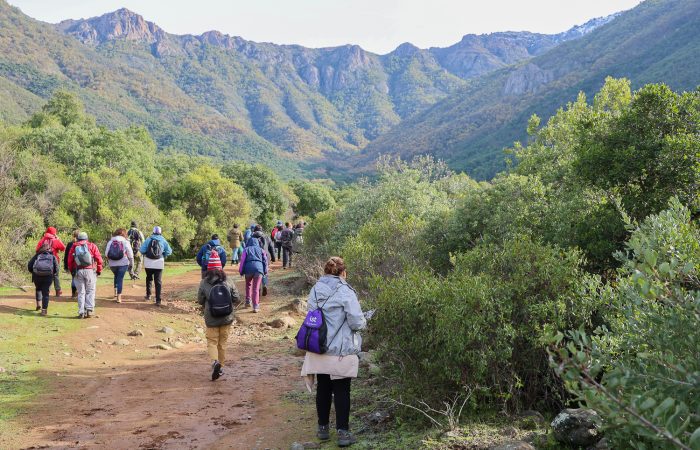 Cerro Poqui (11 de 35) Visita Cerro Poqui